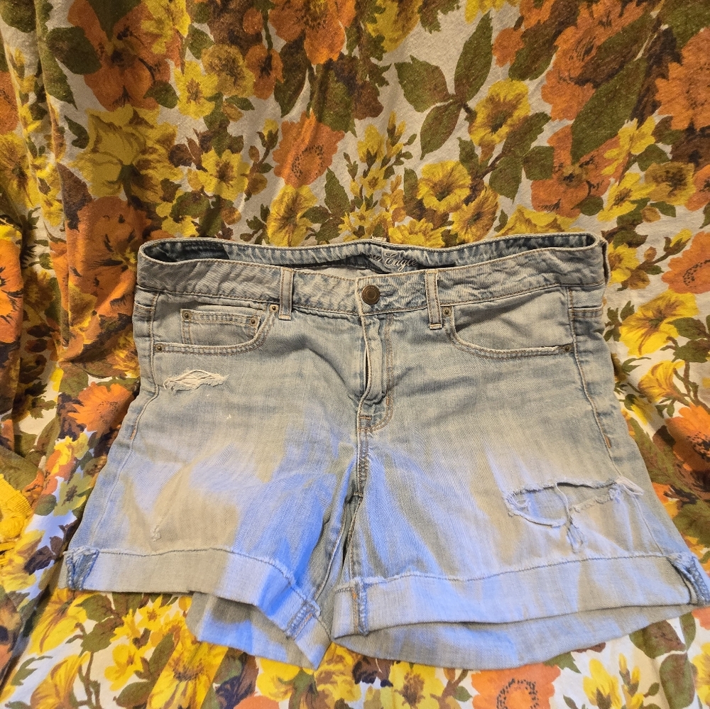 American Eagle Outfitters Light Blue Jean Shorts